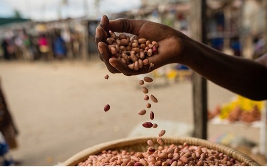 Political Economy Decision Toolkit For Food Systems Pathways Political Economy Decision Toolkit For Food Systems Pathways