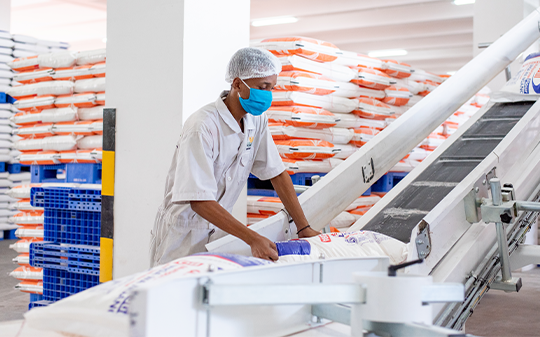 A man picking sacks of flour from a conveyor belt A man picking sacks of flour from a conveyor belt